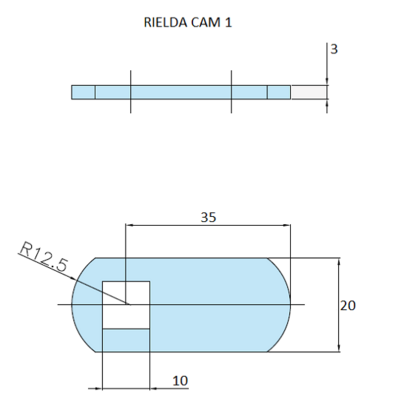 Rielda lock cam 1