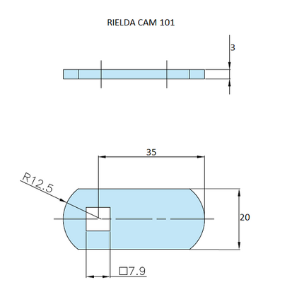 Rielda lock cam 101