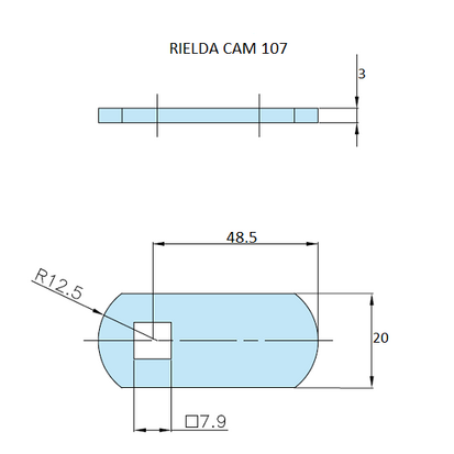 Rielda lock cam 107