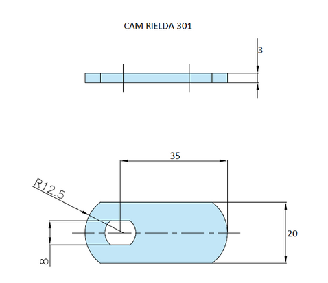 Rielda lock cam 301