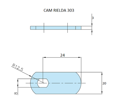 Rielda lock cam 303