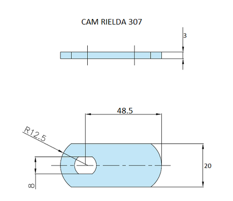 Rielda lock cam 307