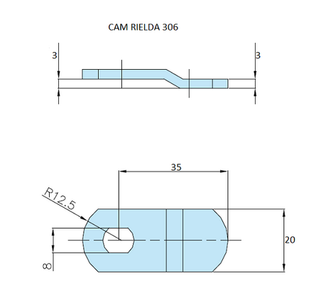 Rielda lock cam 306