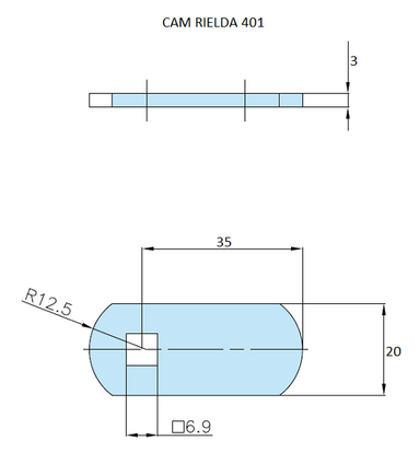 Rielda lock cam 401