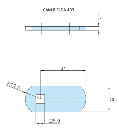 Rielda lock cam 403