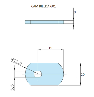 Rielda lock cam 601