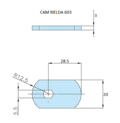 Rielda lock cam 603