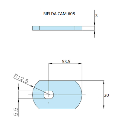 Rielda lock cam 608