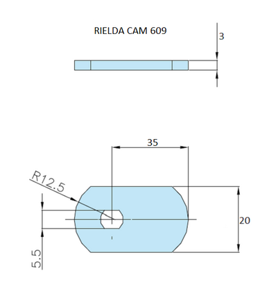 Rielda lock cam 609