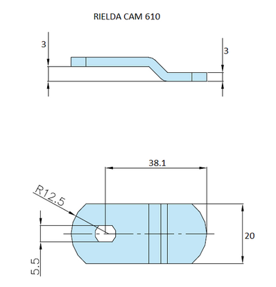 Rielda lock cam 610