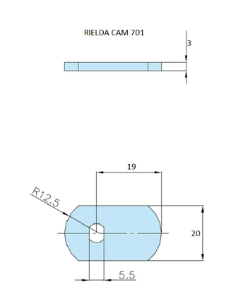 Rielda lock cam 701