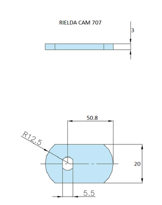 Rielda lock cam 707